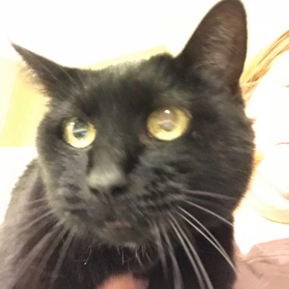 Meet your Posher, Roxanne